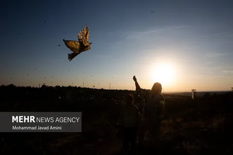جشن «پرواز بادبادک‌ها» در قزوین