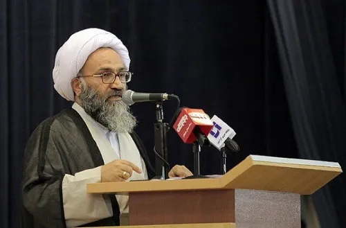 عضو خبرگان: سقط جنین، جنایت در حق کشور است