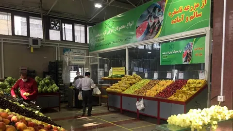 چرا قیمت میوه افزایش پیدا کرده است؟/ گرانی میوه قابل توجیه نیست