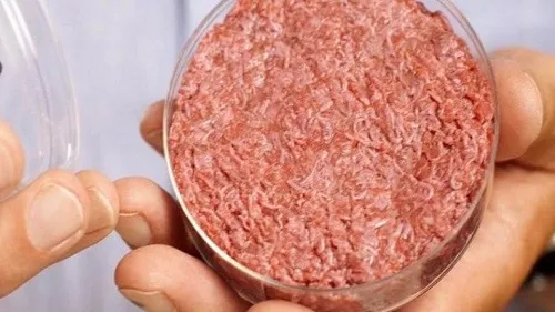 خوردن گوشت دیگر نیازی به کُشتن حیوان ندارد!