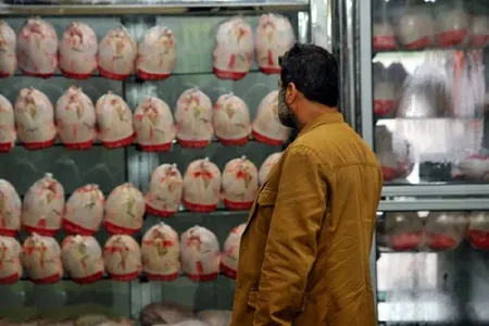 قیمت مرغ امروز ۲۵ مهر ۱۴۰۵؛ فیله مرغ ۸۹۰ هزار تومان شد + جدول قیمت
