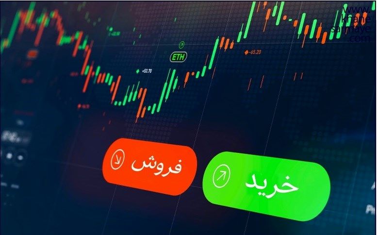 تابستان بورس از لنز آمار