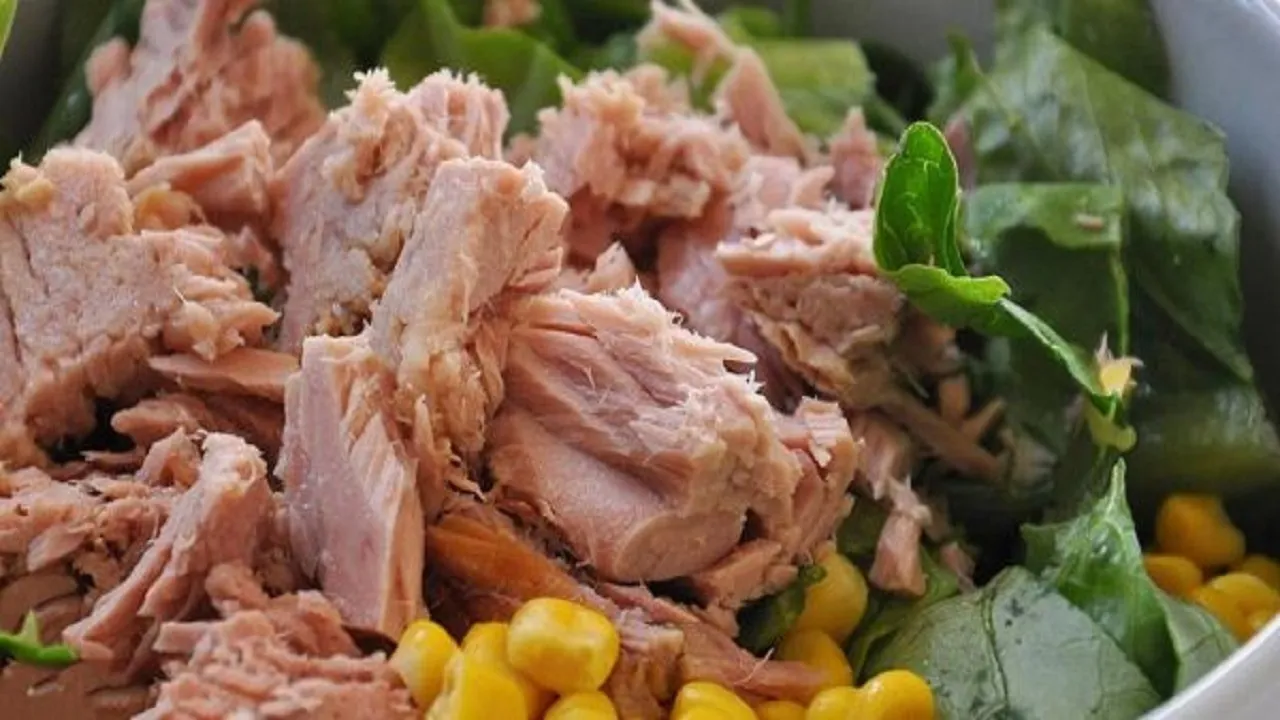 انواع کنسرو ماهی در بازار چند؟