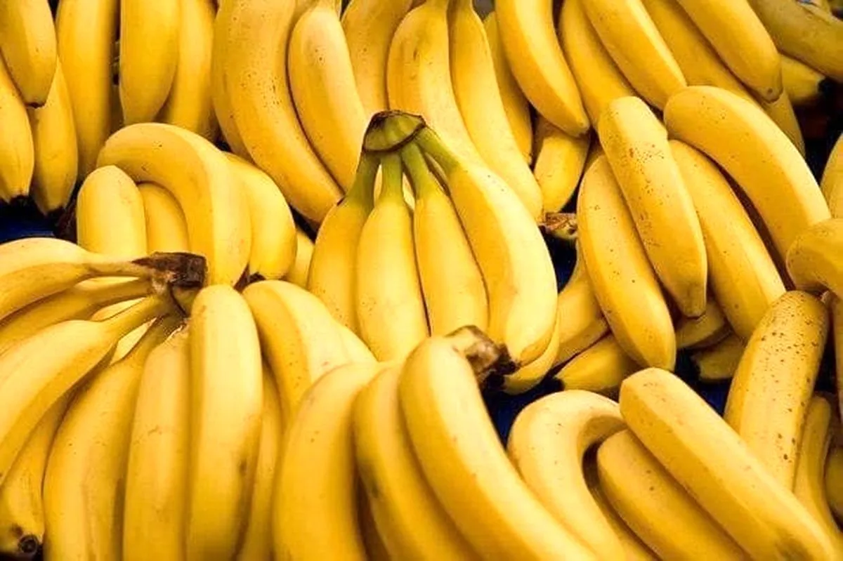انفجار قیمت موز در راه است!