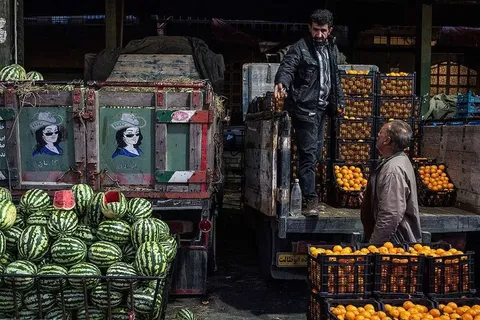 قیمت میوه‌های تابستانی داغ شد؛ شلیل و هلو چند فروخته می‌شوند؟