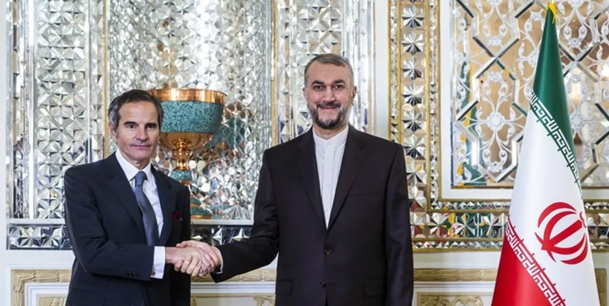 جزییات دیدار امیرعبداللهیان و گروسی