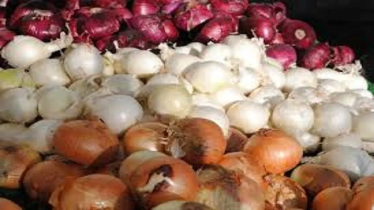 هر کیلو پیاز در ارومیه۵۰ هزار تومان