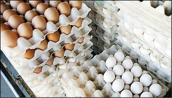  
 قیمت هر شانه تخم مرغ در بازار چند؟