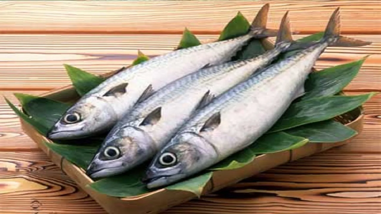 انواع ماهی در بازار کیلویی چند؟