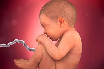 تصمیم عجیب وزارت بهداشت