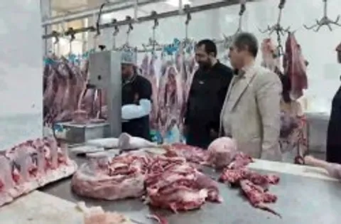 عرضه گسترده اقلام پروتئینی تنظیم بازار در کیش با نرخ مصوب
