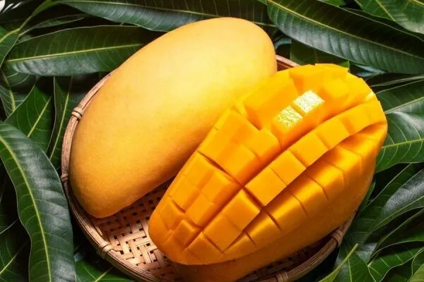 انبه 