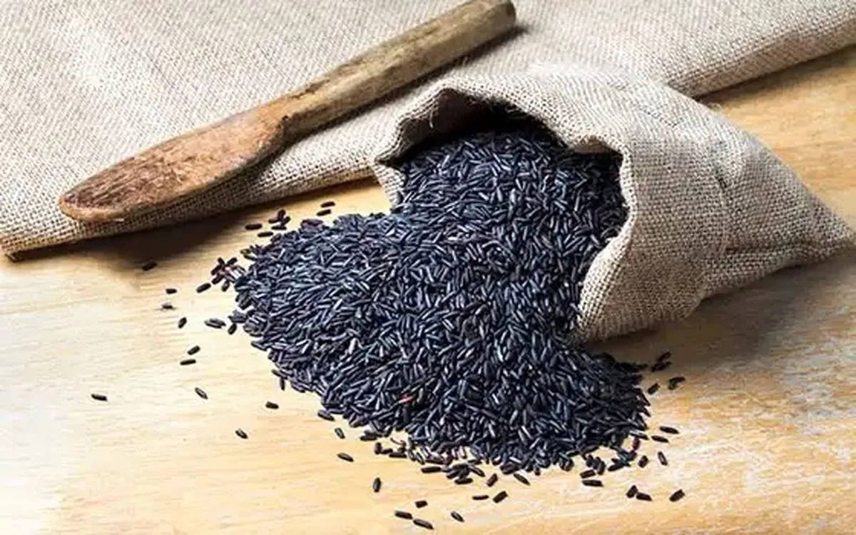 از خواص برنج وحشی چه می‌دانید؟