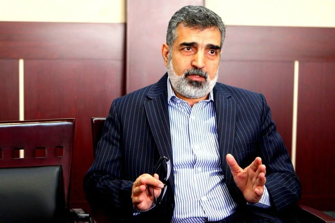 خبر مهم سازمان انرژی اتمی درباره ذخایر اورانیوم