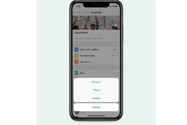 چت‌های واتس اپ به طور دائم میوت می‌شوند