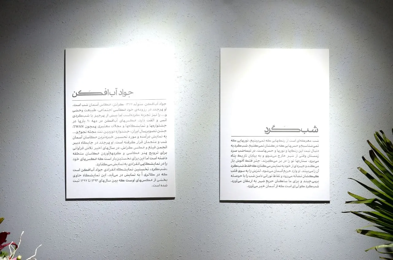 نگارخانه &laquo;اٌ&raquo; 
مجید افشار