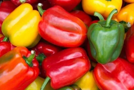 چرا استاندارد مانع برگشت خوردن کالا‌های صادراتی نشد؟