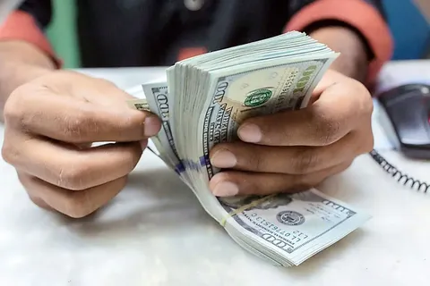 قیمت دلار امروز شنبه ۱۴ شهریور؛ دلار ۳ هزار تومان گران شد و به ۲۲۴ هزار تومان رسید