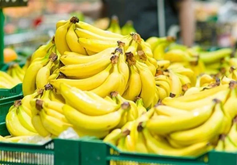 ترخیص موز‌های وارداتی تعیین تکلیف شد