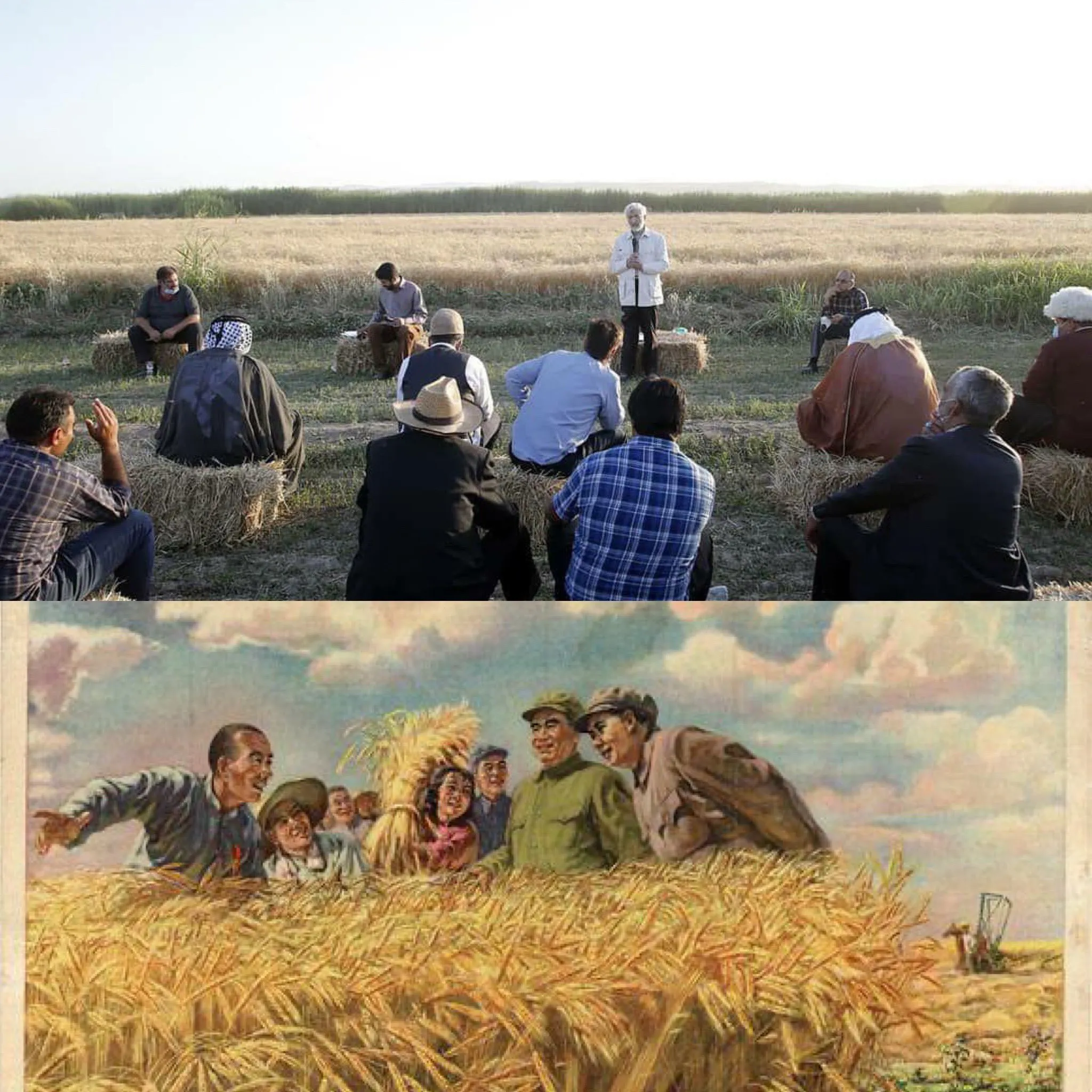 کنایه همتی به جلیلی