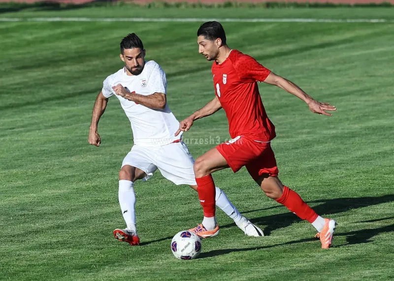 مهدی محبی