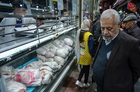 قیمت مرغ بالاخره مشخص شد؛ صادرات مرغ به‌زودی آغاز می‌شود؟