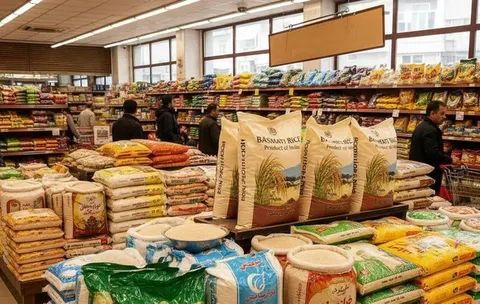موانعی دولتی واردات برنج؛ هزینه حمل برنج هندی ۹ برابر شد/ آیا قیمت‌ها در ماه‌های آتی ارزان‌تر می‌شود؟