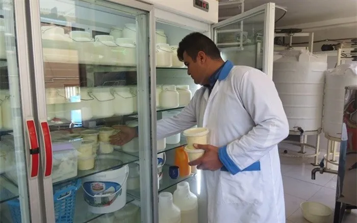 محصولات لبنی سنتی باز هم گران می‌شود؟ / اُفت ۲۰ درصدی تقاضای خرید لبنیات سنتی