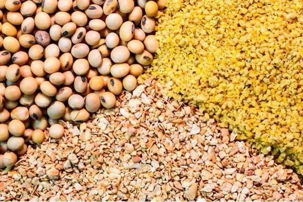 منابع ارزی محدود است/ بانک مرکزی در تلاش برای تخصیص ارز نهاده‌هاست
