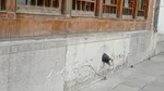به نظر می رسد که متولیان برخی اماکن عمومی مانند موزه هنرهای تزئینی معاصر در اصفهان خانه بدون انجام خانه تکانی به استقبال نوروز رفته اند.