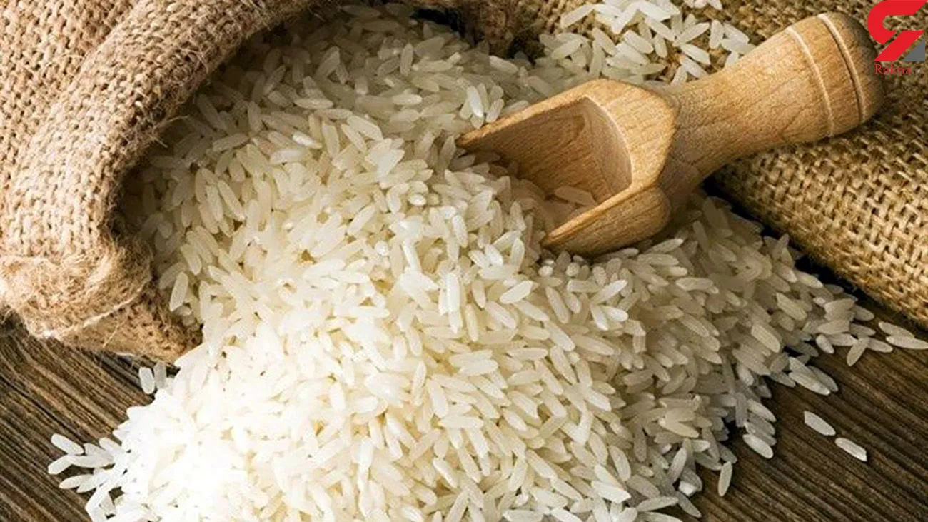 هزاران تن برنج در حال فاسد شدن