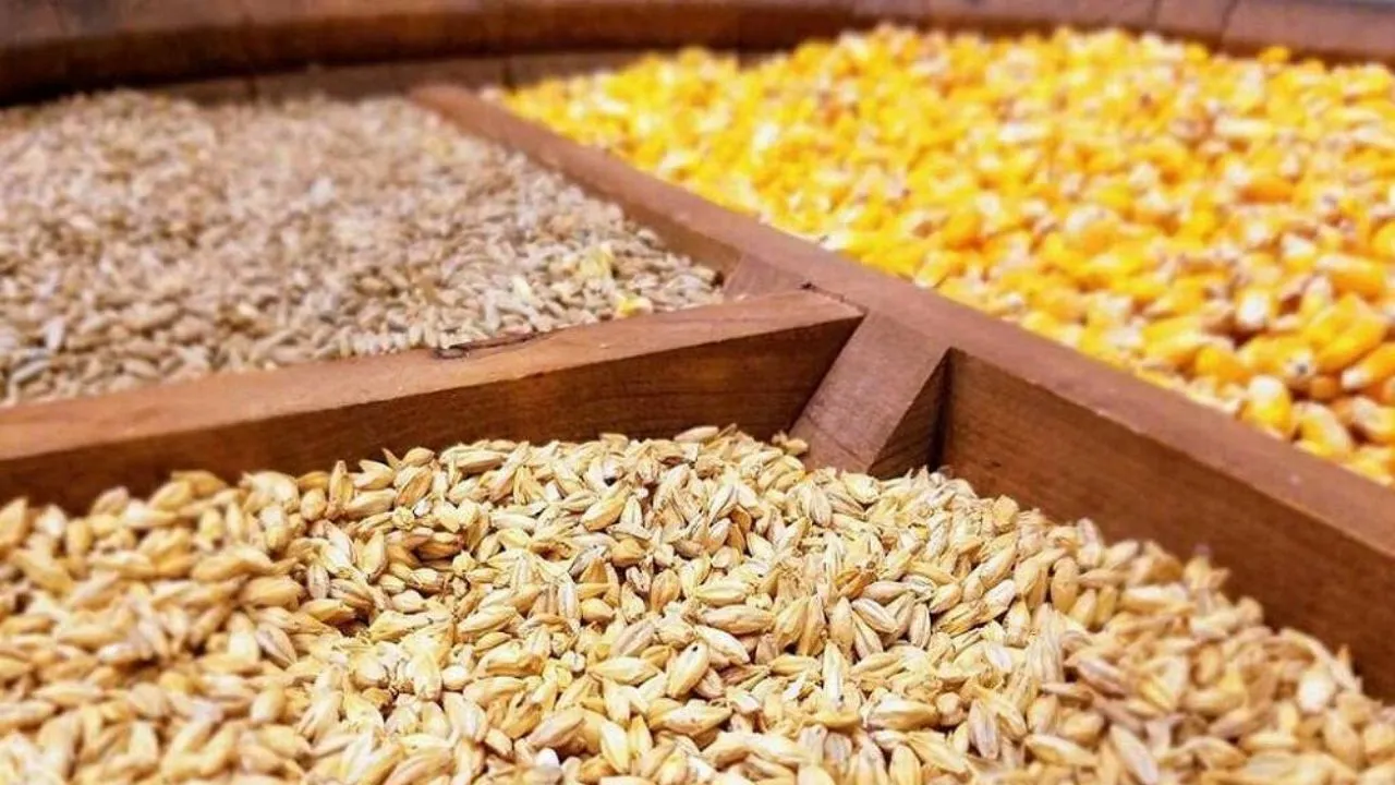 بارگیری نهاده نباید بیش از ۱۰ روز طول بکشد