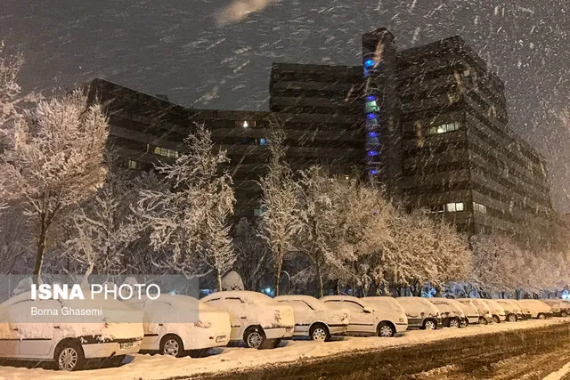 آغاز بارش برف در برخی مناطق تهران