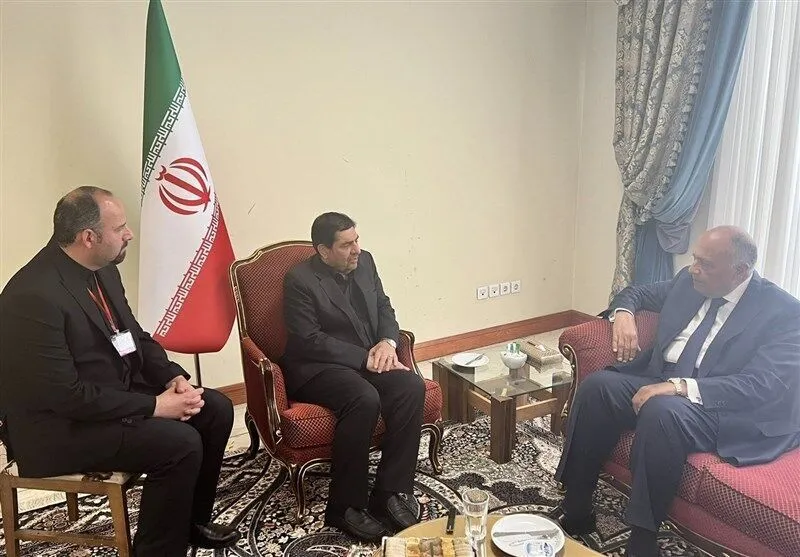 دیدار وزیر خارجه مصر با سرپرست ریاست جمهوری