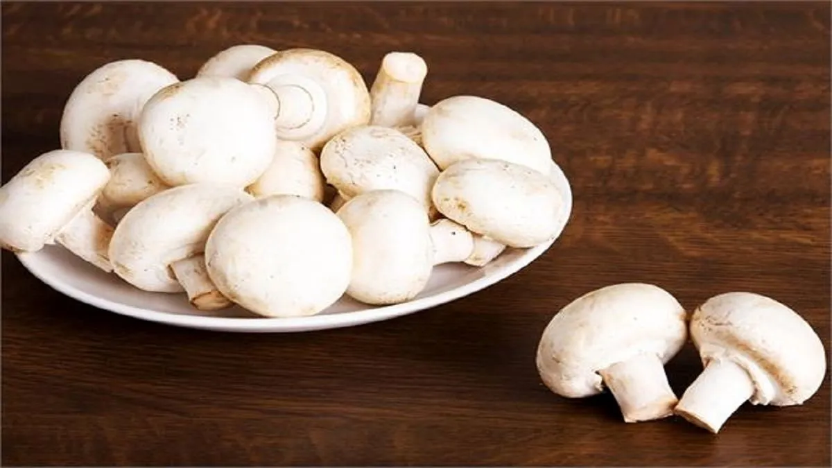 مرغ و گوشت هیچ؛ قدرت خرید قارچ هم از مردم گرفته شد/ قارچ به کیلویی ۷۰ هزار تومان رسید/ دومینوی تعطیلی، به مزارع پرورش قارچ رسید