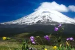 فعالیت معدن در دماوند