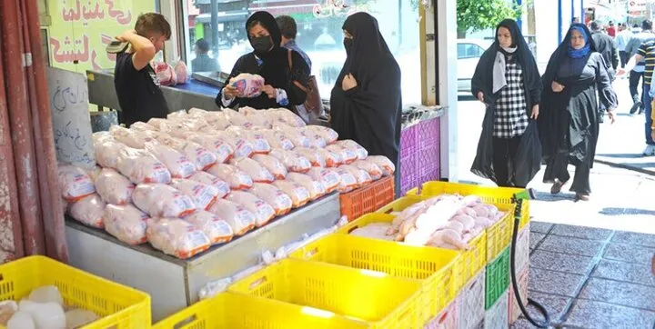 منتظر کاهش قیمت مرغ باشید
