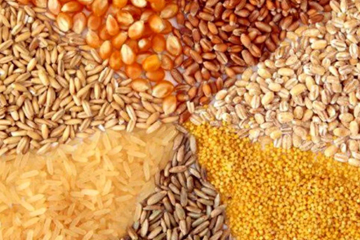 تبیین چالش‌های عمده تامین نهاده‌های دامی در ۶ماهه دوم۱۴۰۰