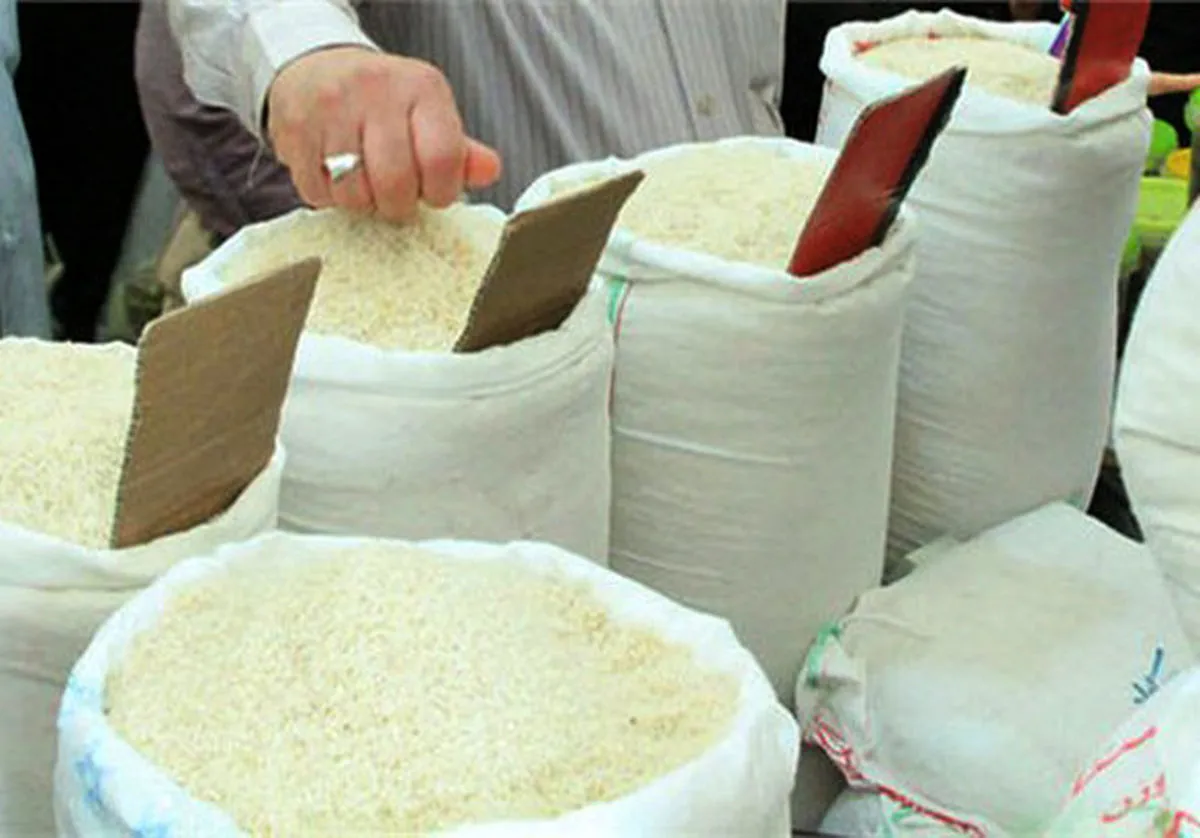  بهترین برنج کشور از ۳۵هزار تومان گران‌تر نیست!