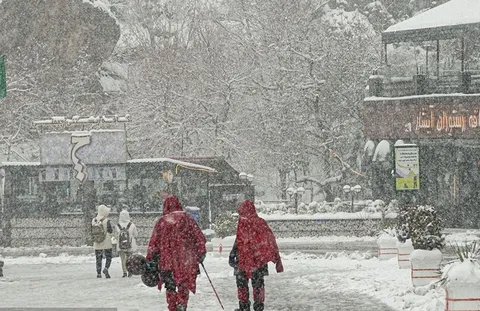 برف زمستانی در توچال تهران