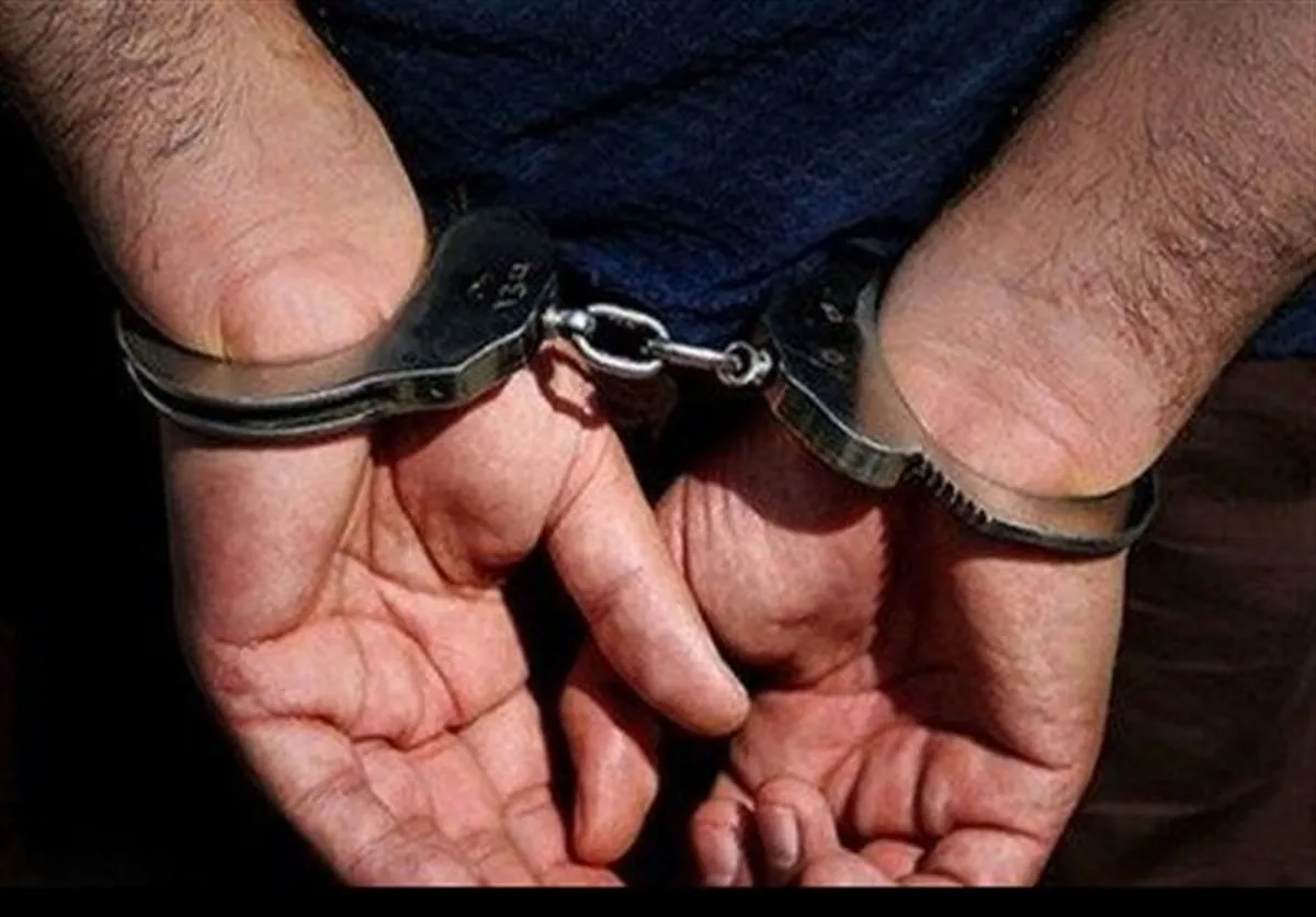 فیلم/ توضیح سردار رادان درباره دستگیری هدفمند لیدرهای اغتشاشات