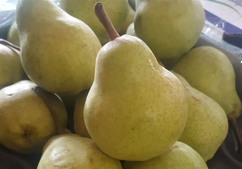 ارز برای گلابی؟!