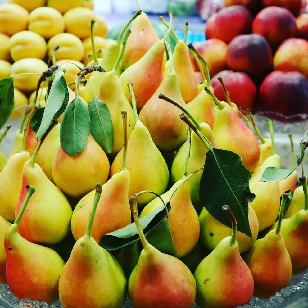 گران‌ترین میوه‌ها در بازار کیلویی چند؟
