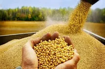 در جنگ نیاز به استفاده از ذخایر استراتژیک نهاده دامی داشتیم؟