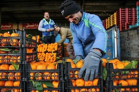 میوه چقدر گران شد؟