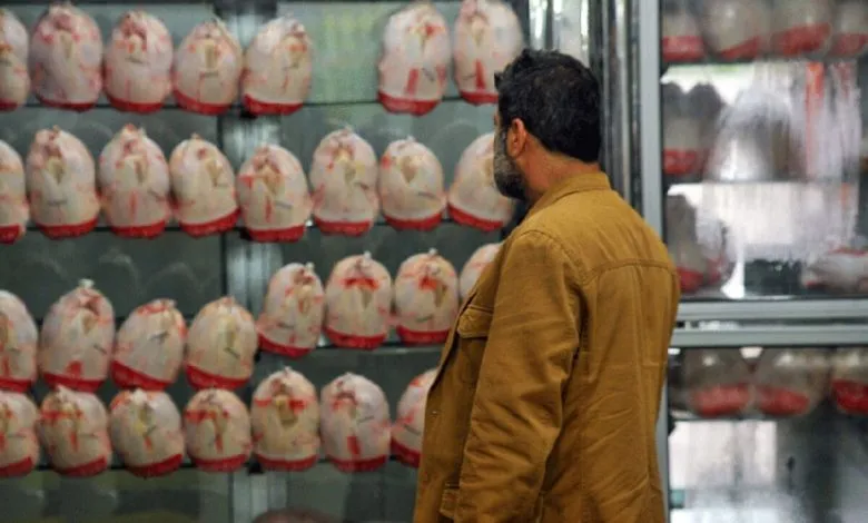 مرغ ۷۳ هزار تومانی را کی دیده کی خریده!/ صف‌های طولانی برای خرید مرغ یخ زده