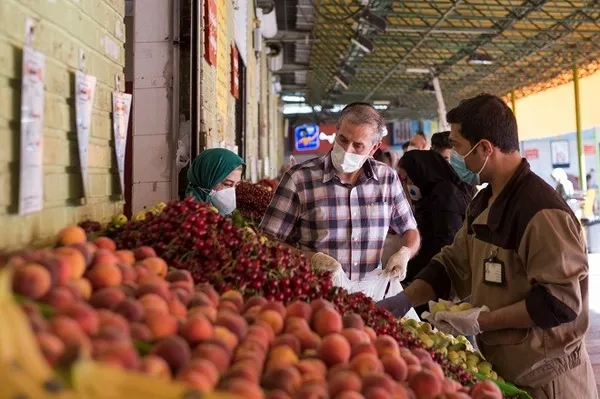 ثبات قیمت میوه به دلیل تنوع میوه‌های تابستانه