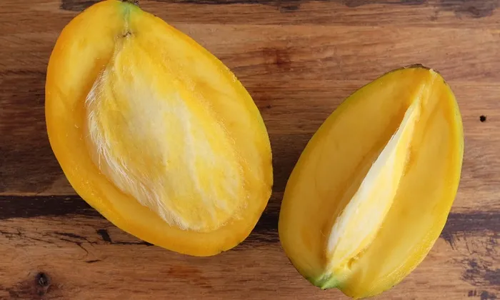 دانستنی‌هایی درباره هسته انبه