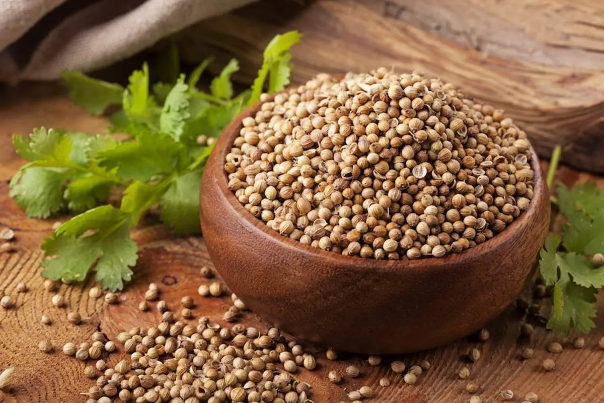 خواص تخم گشنیز