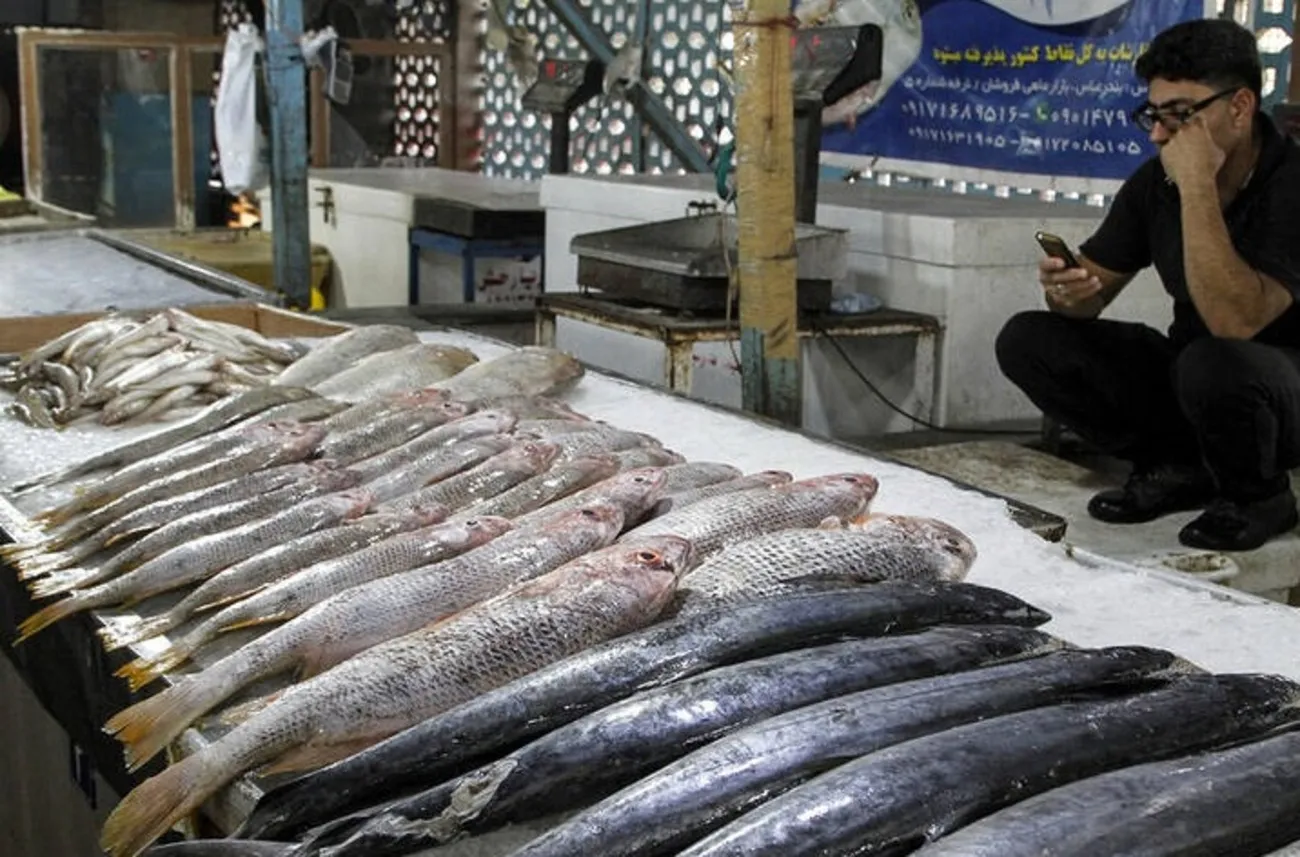 قیمت گذاری دستوری مرغ، بازار ماهی را نامتعادل کرد